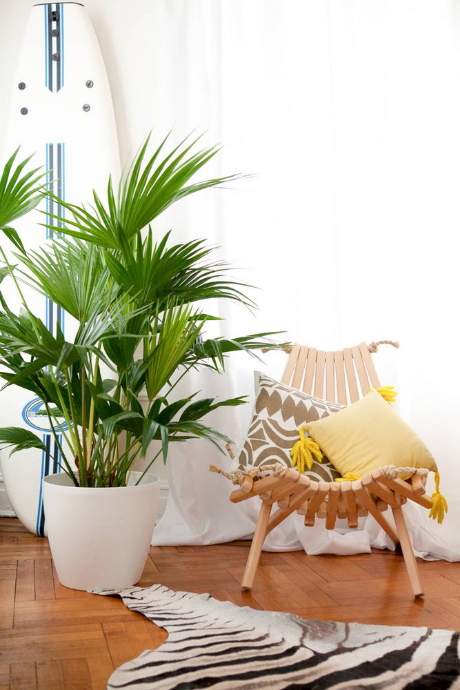 Corner Decoration Pieces - Indoor Plants For Living Room | domino
