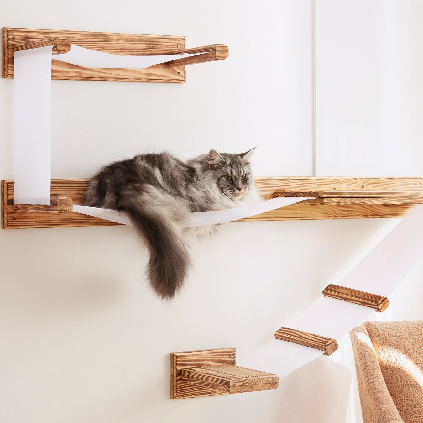 15 Pieces of Modern Cat Furniture You and Your Pet Can Agree On