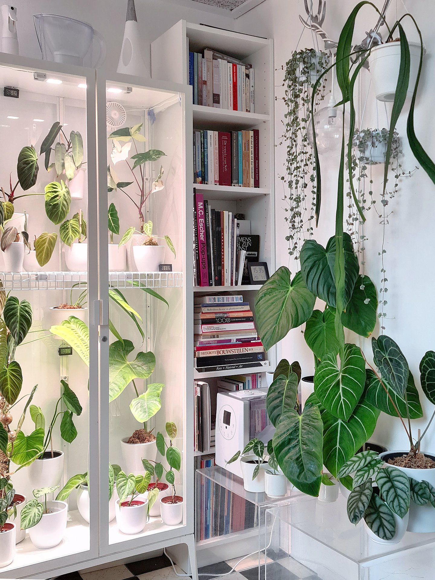 Appartement blozen taxi This IKEA Staple Moonlights as a Greenhouse | domino