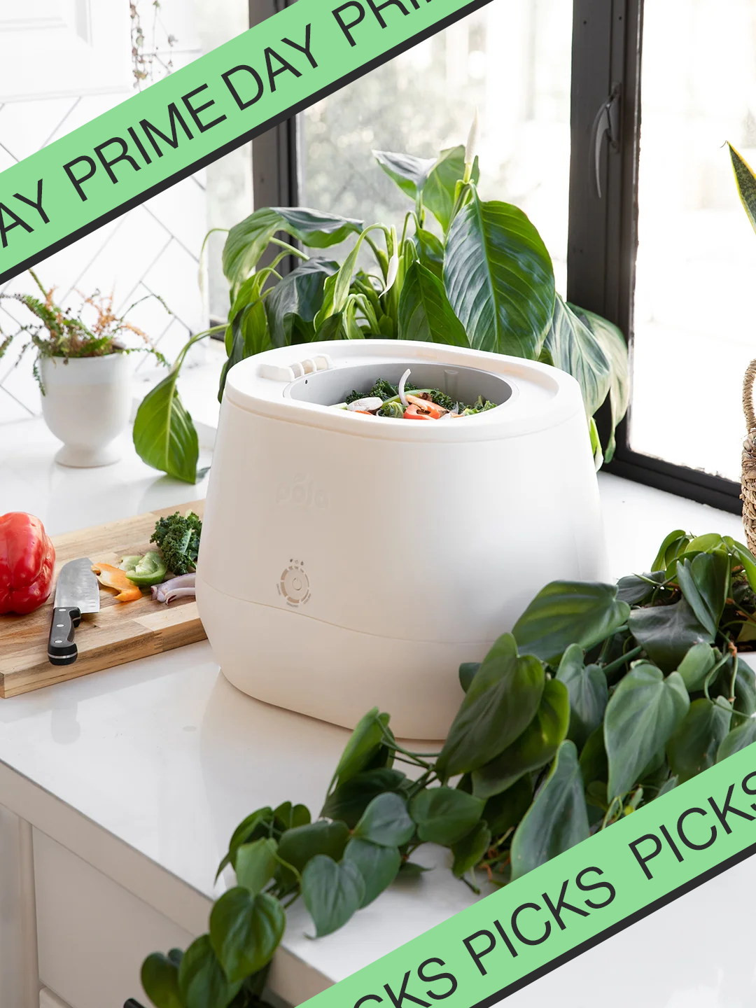 Lomi Home Composter Review- Compost Bioplastics & Food at Home