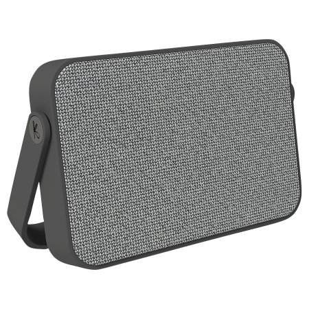  gray speaker