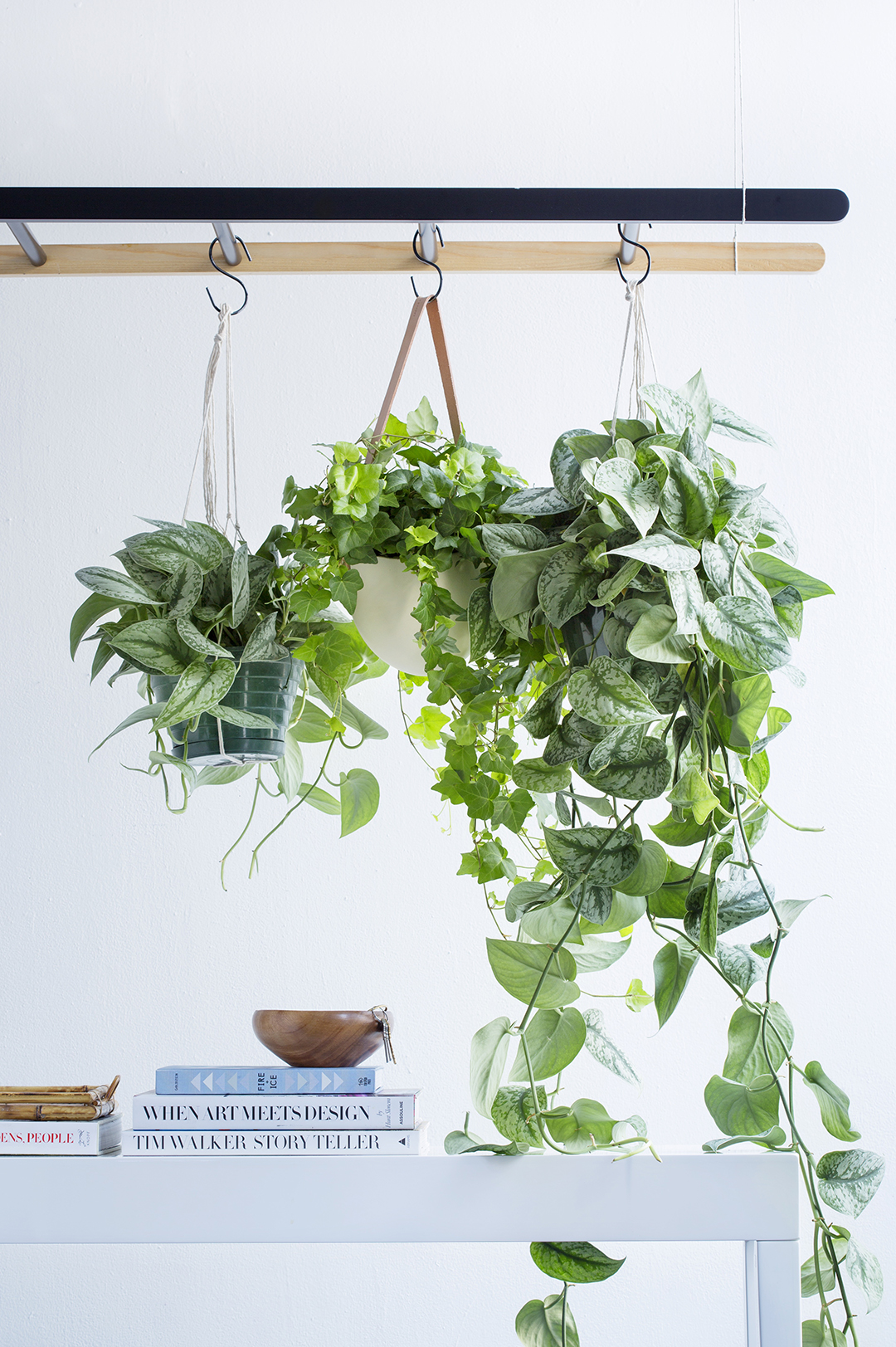 Plants hanging on a rug of a ladder