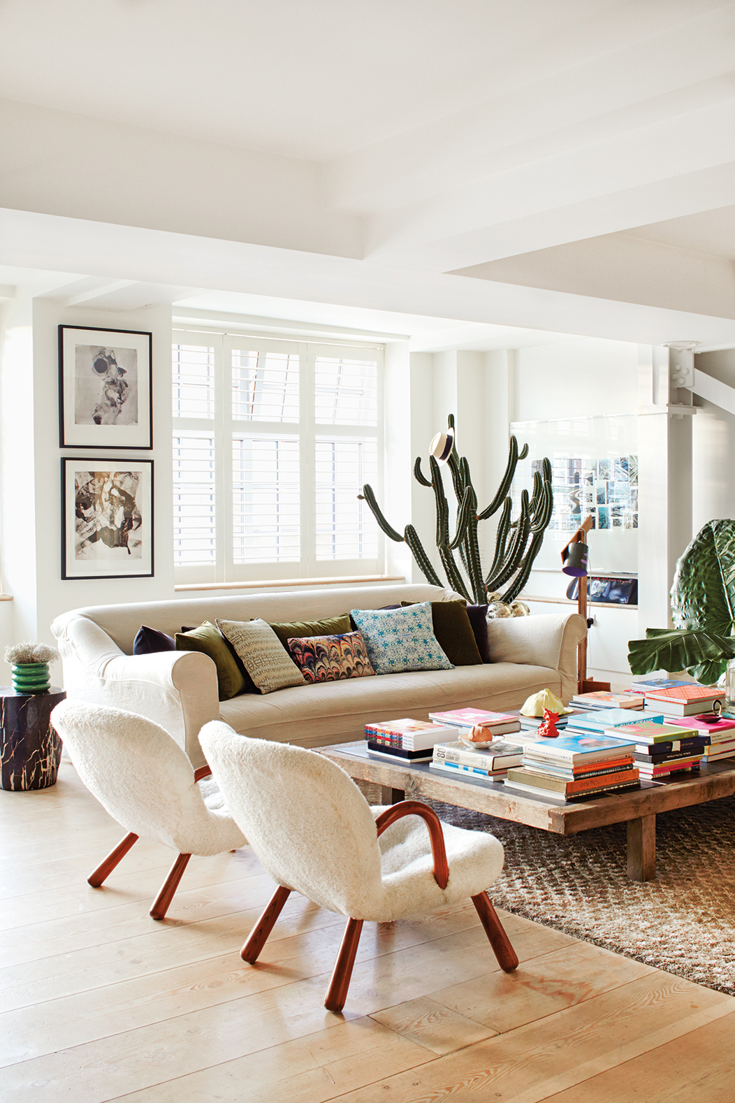 Living room with white furniture and massive cactus