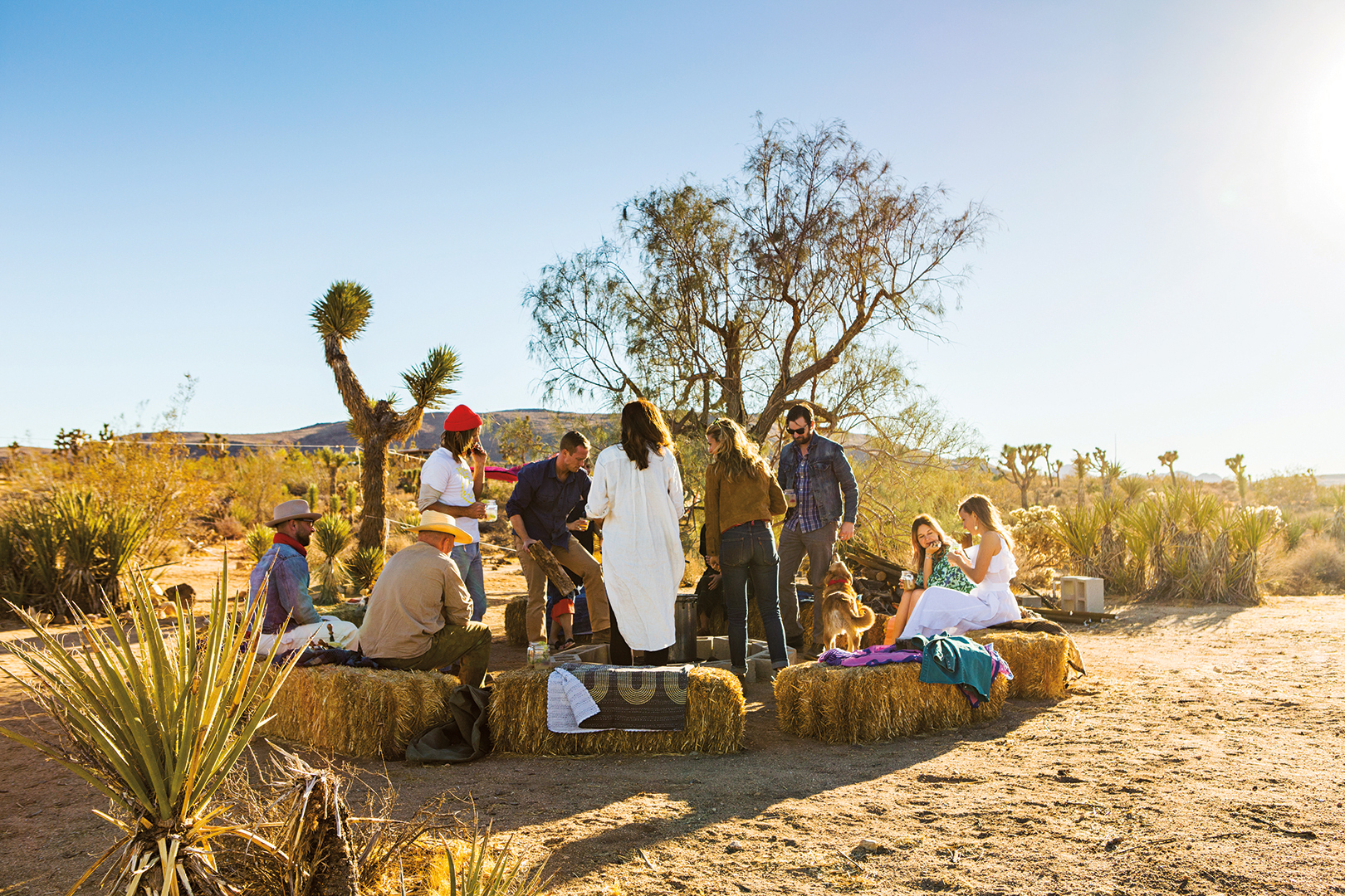 group of friends sitting on hay bales