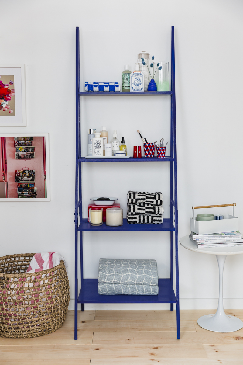 blue ladder bookshelf