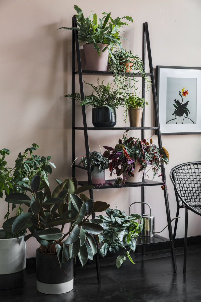 black ladder bookshelf