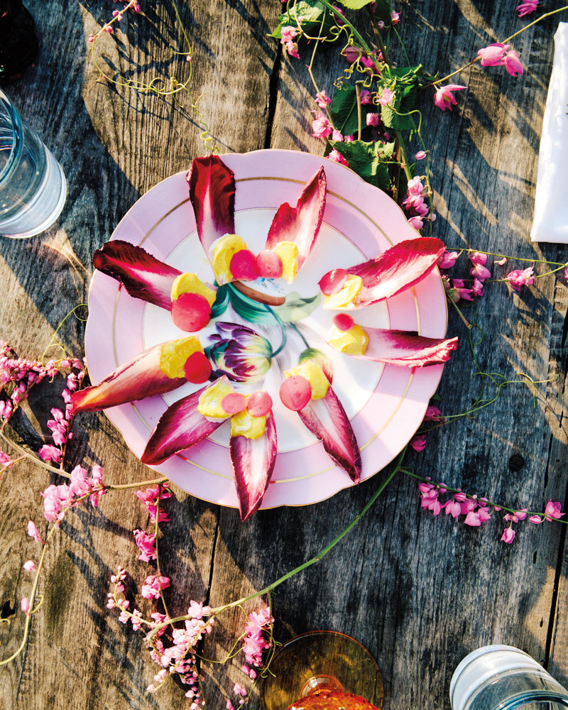 Belgian endive with feta mousse