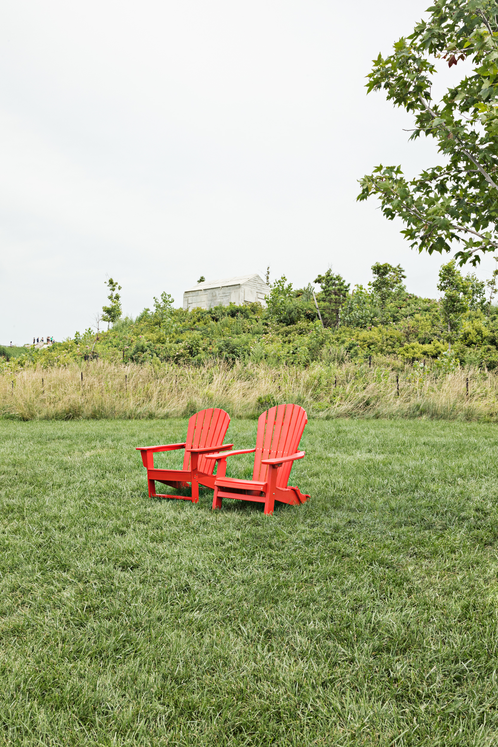 adirondack chairs on lawn