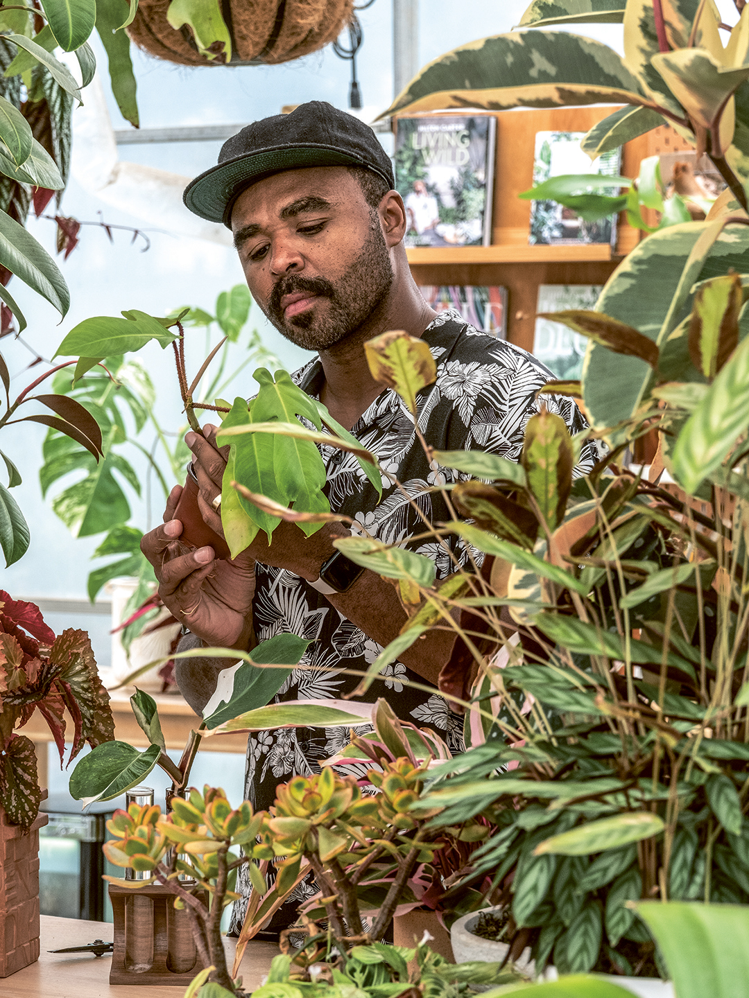 man looking at plants