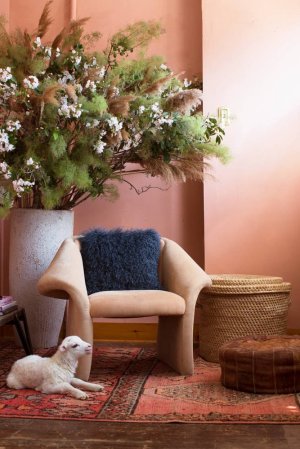 Orange and Pink Living room