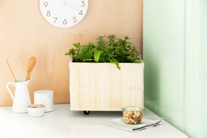 diy herb garden