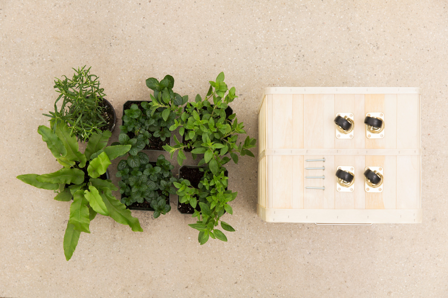 diy herb garden