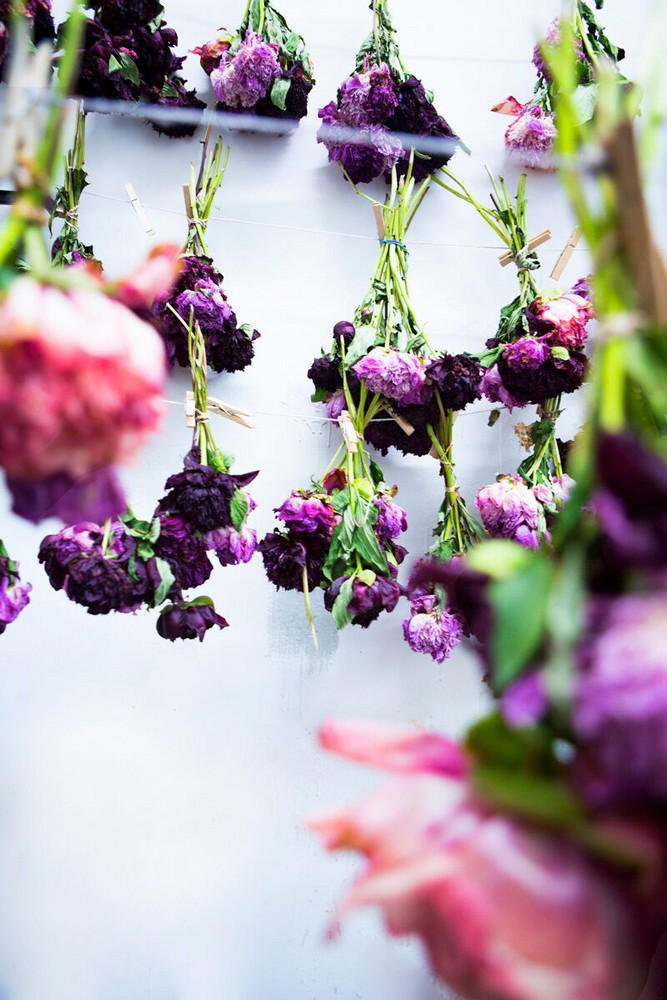 natural dyes with flowers