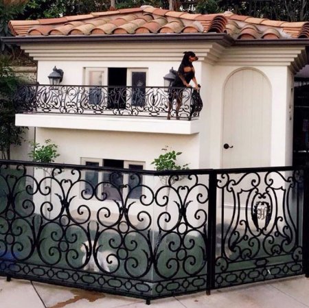 Paris Hilton's Dogs Live In A Mansion