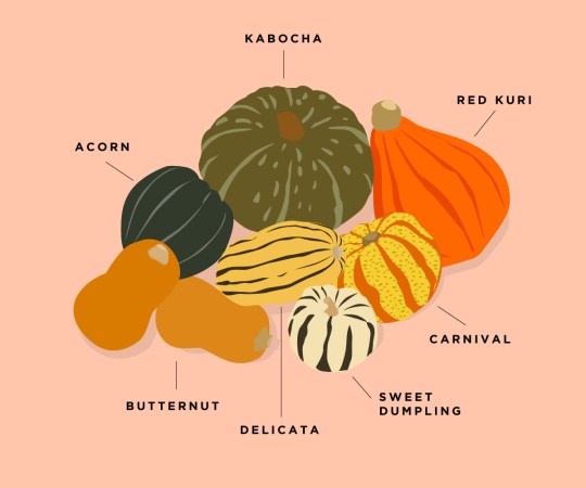 A Handy Guide to Winter Squash