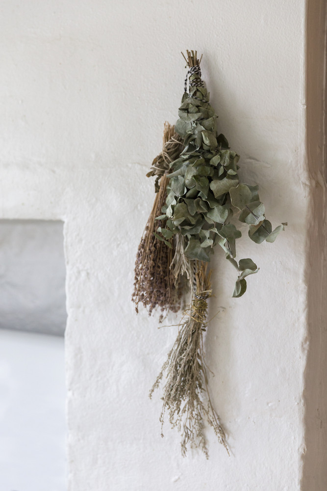 plants hanging wall