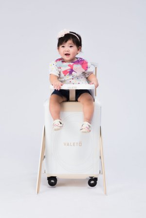 highchair suitcase