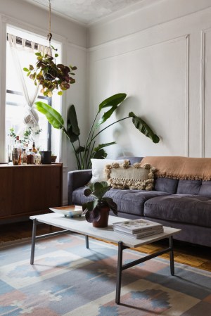 Tour Alison Roman’s Plant-Filled Brooklyn Paradise