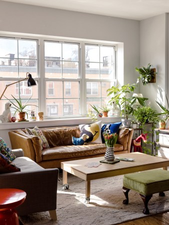 Neutral Living Room Colorful Textiles