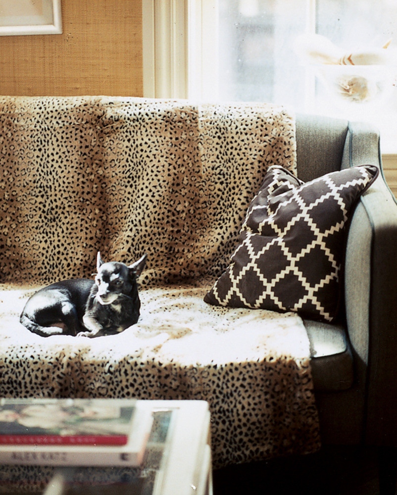 Brown Living room