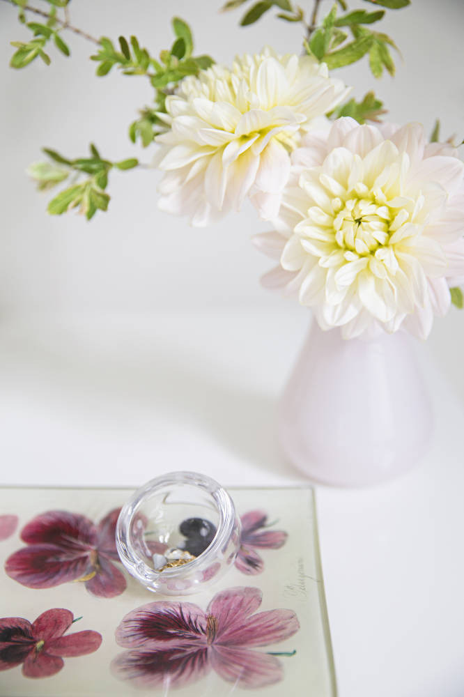 Purple and White Flowers