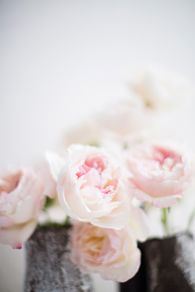 Pink and White Flowers