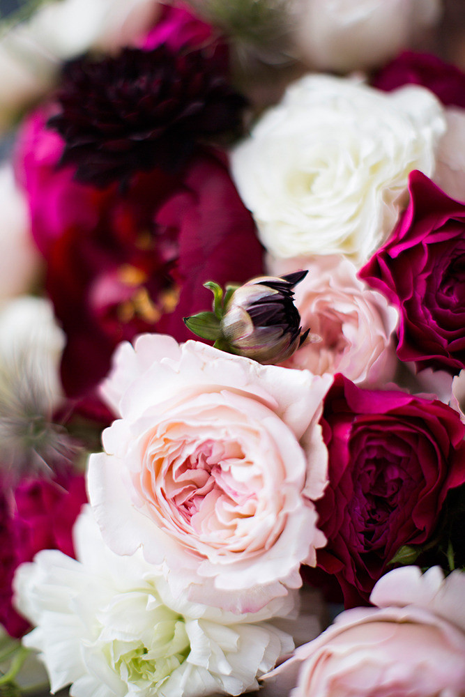 Pink and White Flowers