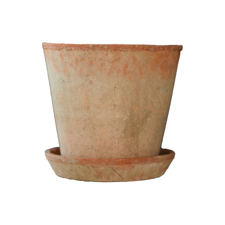  clay pot