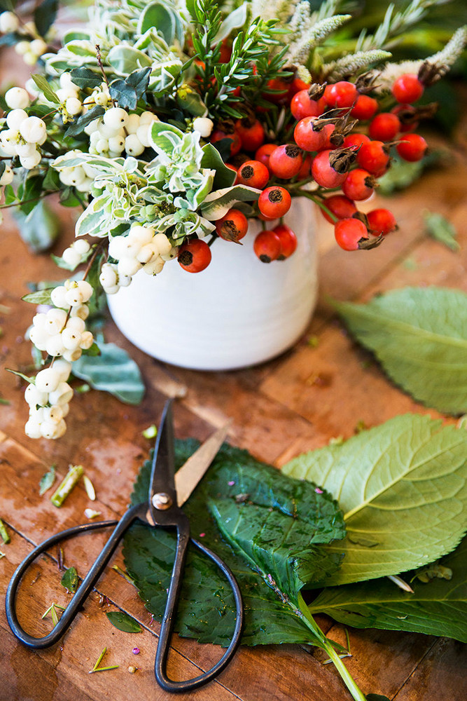 Red and White Flowers