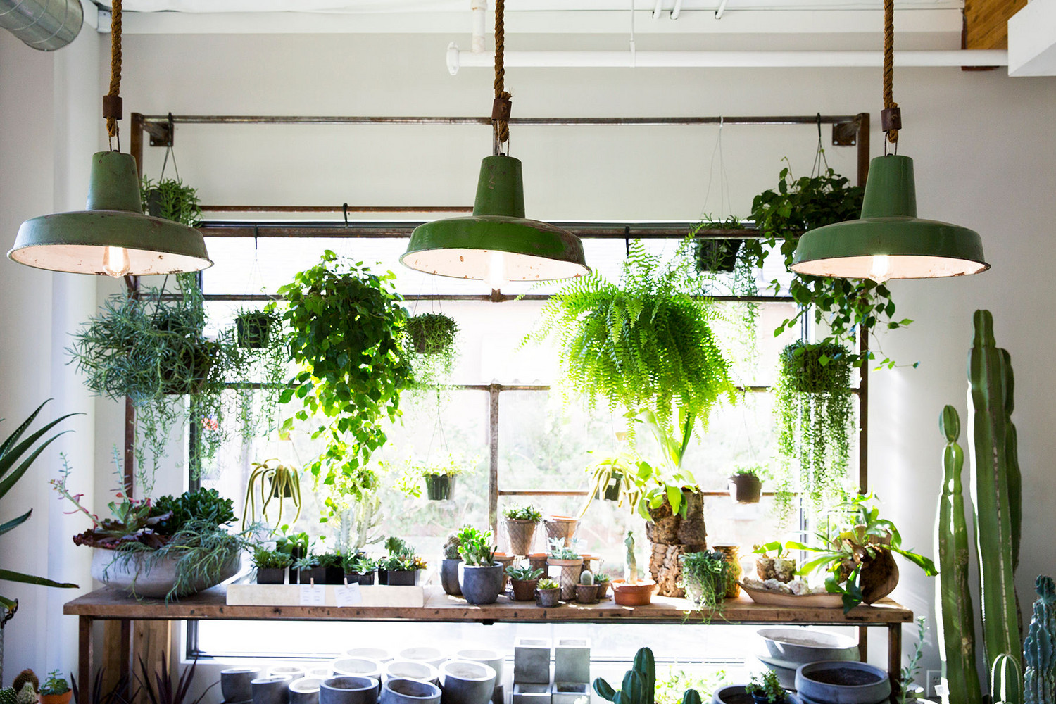 Green Shop interior