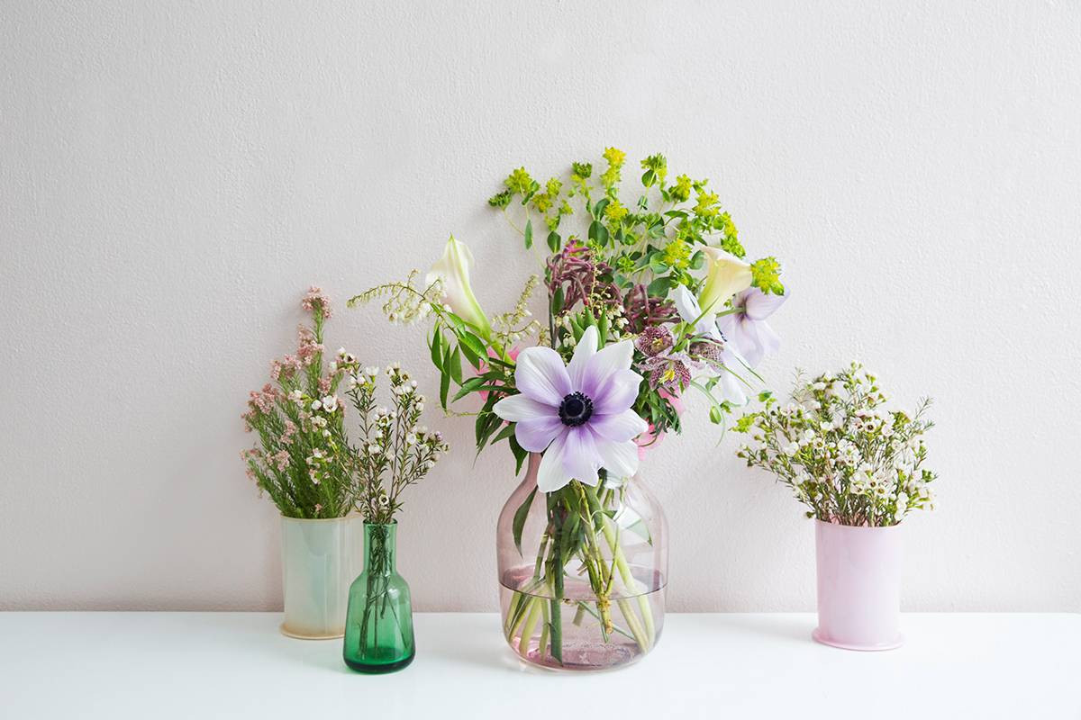 Green and Pink and Purple Flowers