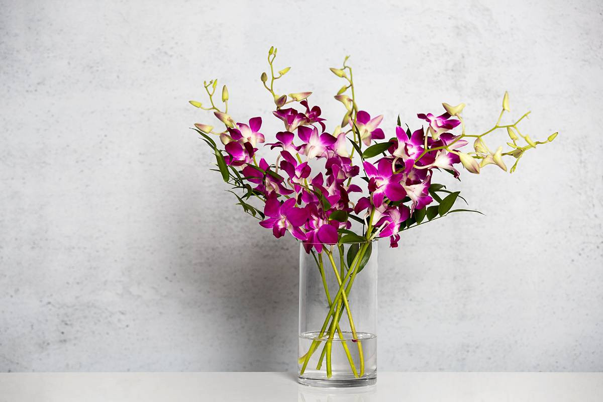 Flowers And Vases Gray and Pink Flowers