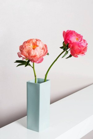 Flowers And Vases Pink and White Flowers