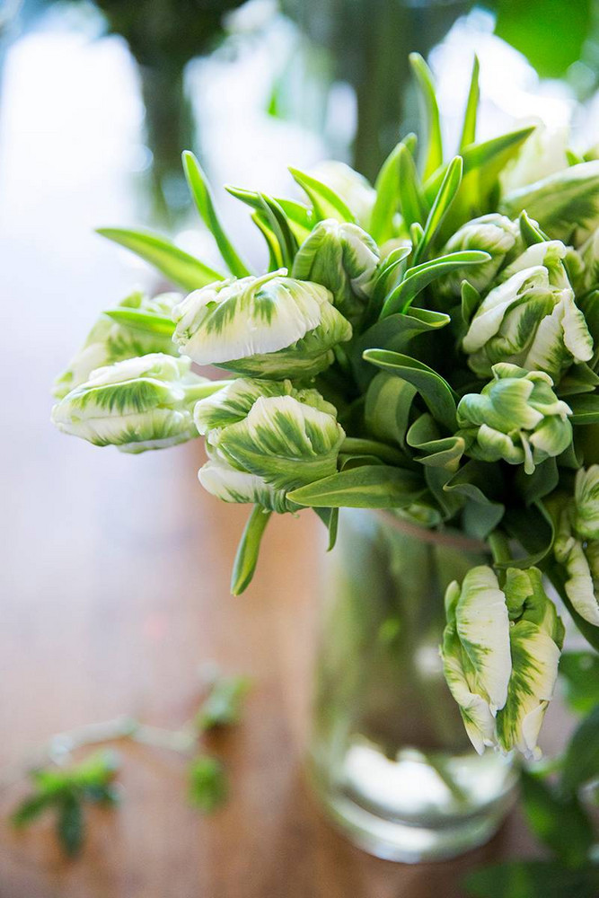 NYC Apartment Of Brooke Lucas Of The Wild Bunch Green Flowers