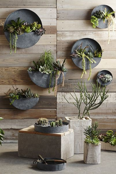 Outdoor Decorating Ideas For Summer - planter gallery wall