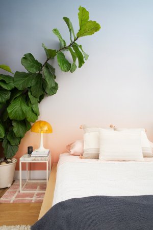 guest room beauty essentials