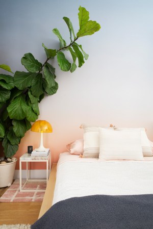 guest room beauty essentials