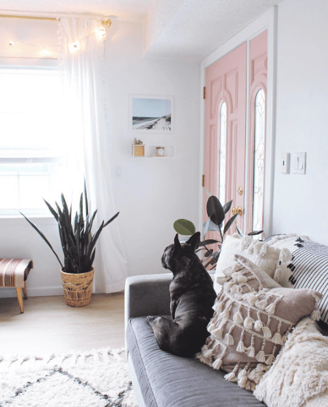 Our Favorite Dog-Friendly Home Decor