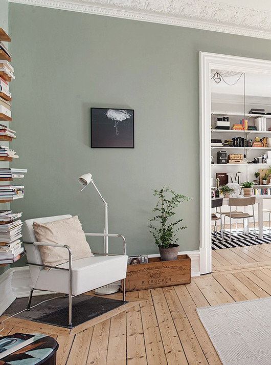 sage wall paint color