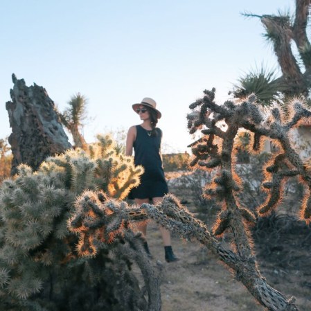 #locallyinspired: we want to move to joshua tree