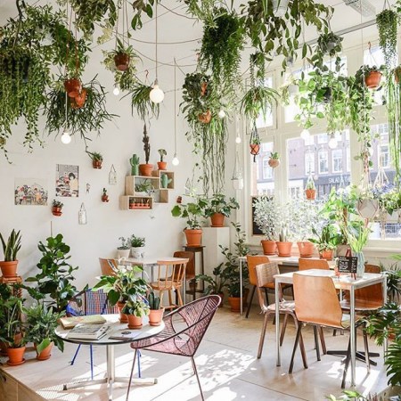 15 inspiring indoor gardens on instagram