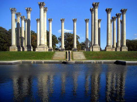 outdoor activities in DC National Arboretum