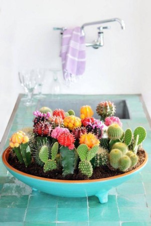 Easy Spring Centerpieces big cacti and succulent centerpiece