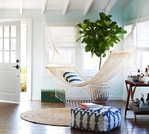 indoor hammock ivory hammock and fiddle fig tree