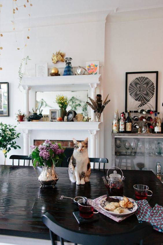 pet friendly rooms spotted cat on black kitchen table