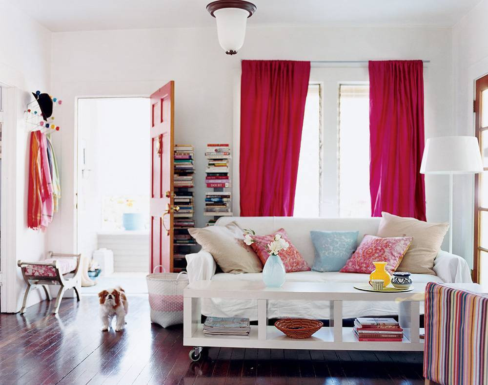 pet friendly rooms cavalier king charles in white and red living room