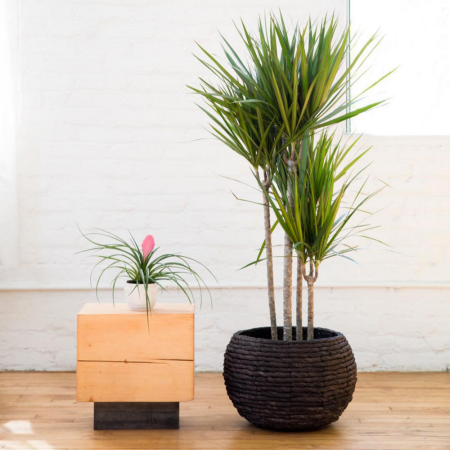 Hot Tip: DIY A Basket Planter