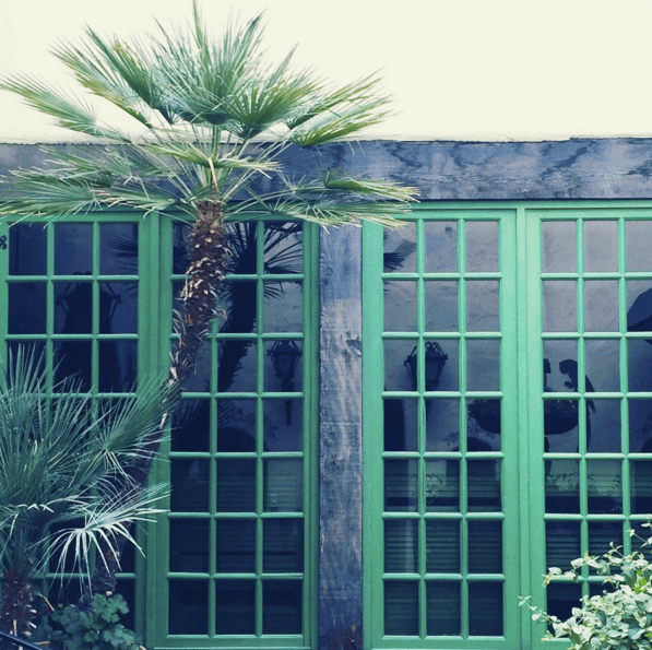 green-window-frames