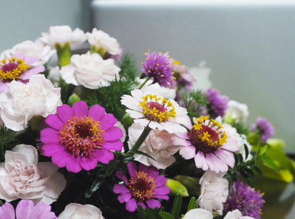 purple-and-white-flowers