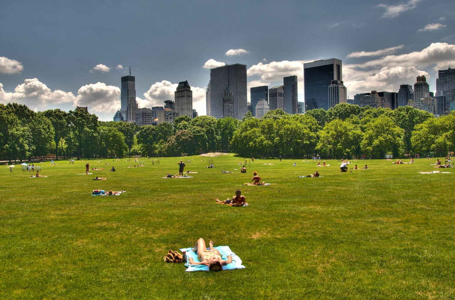 Fun Summer Friday Ideas central park